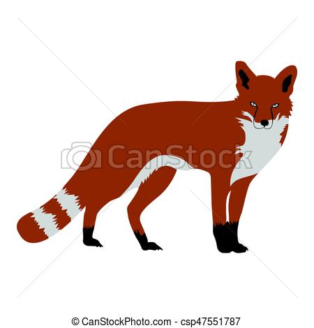 450x470 Isolated Fox Sketch Isolated Fox On A White Background, Vector