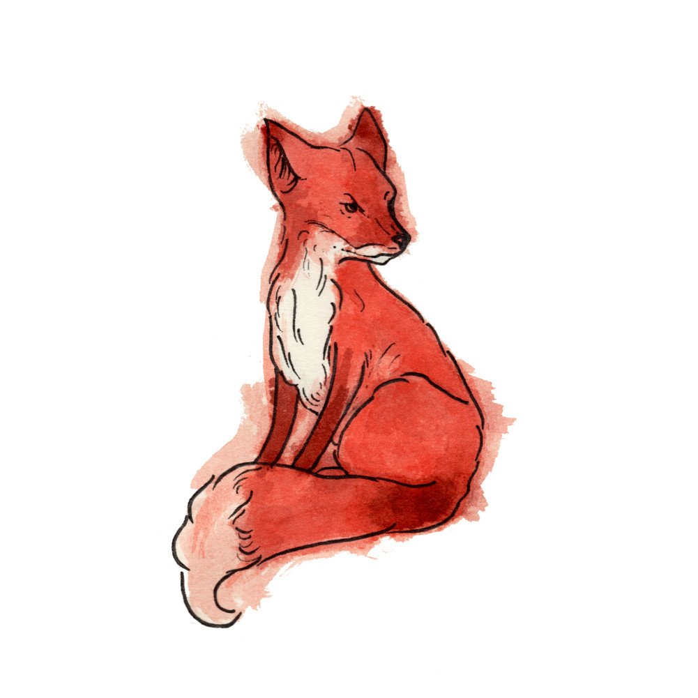 Swift Fox Drawing | Free download on ClipArtMag