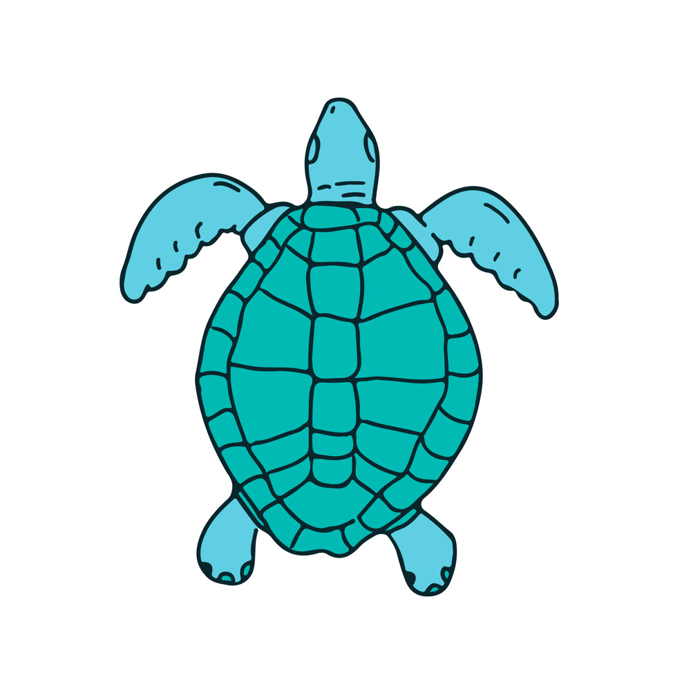 1000x1000 Sea Turtle Swimming Drawing On Behance