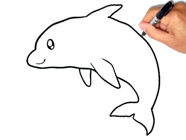 640x480 Dolphins Drawing Drawing Dolphins Swimming