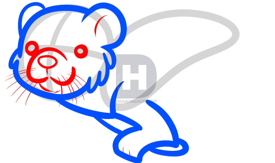 1080x641 How To Draw An Otter Swimming For Kids, Step