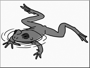 304x229 Clip Art Frog Swimming Grayscale I Abcteach