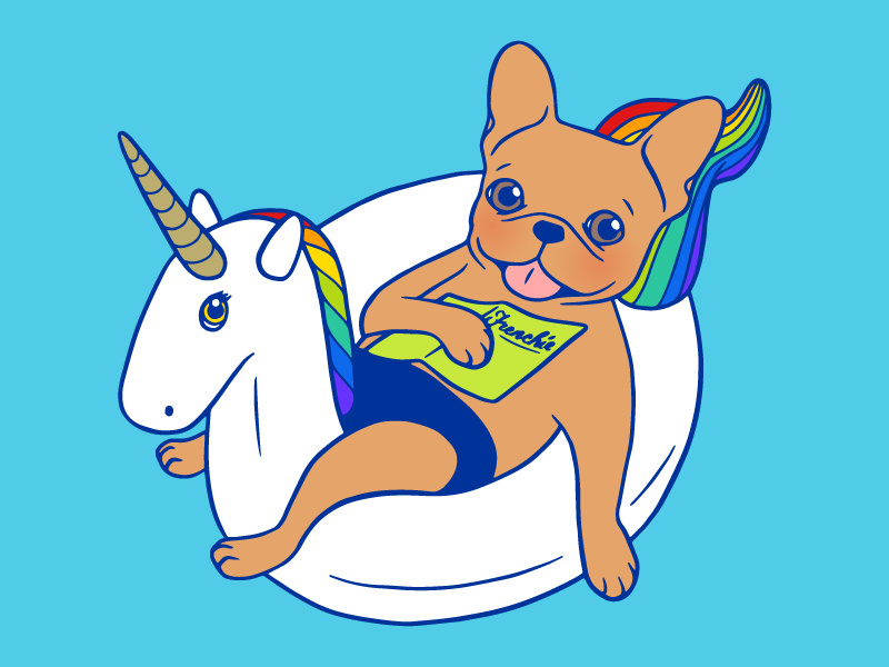 800x600 frenchie enjoys summer on unicorn pool float in swimming pool