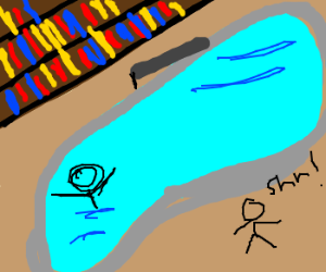 300x250 The Library Installed A Swimming Pool