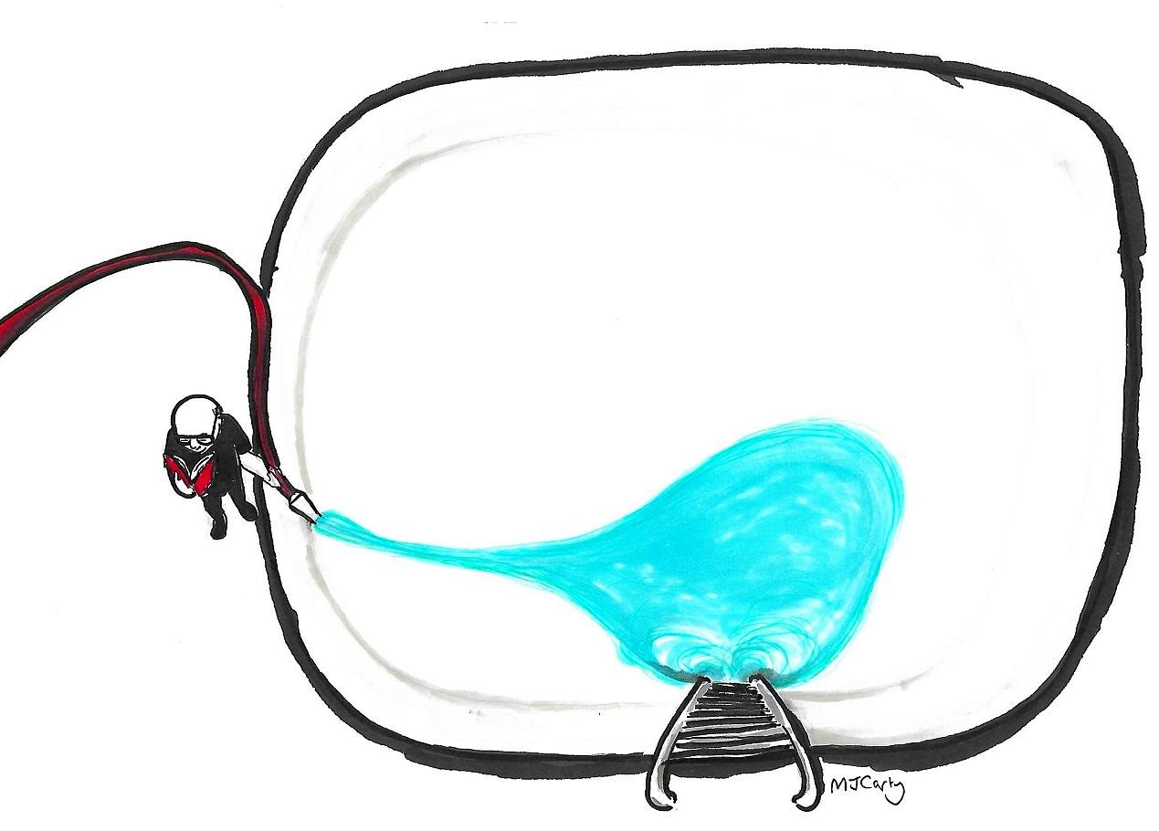 1269x910 To Swim From Thought To Expression Mjcarty