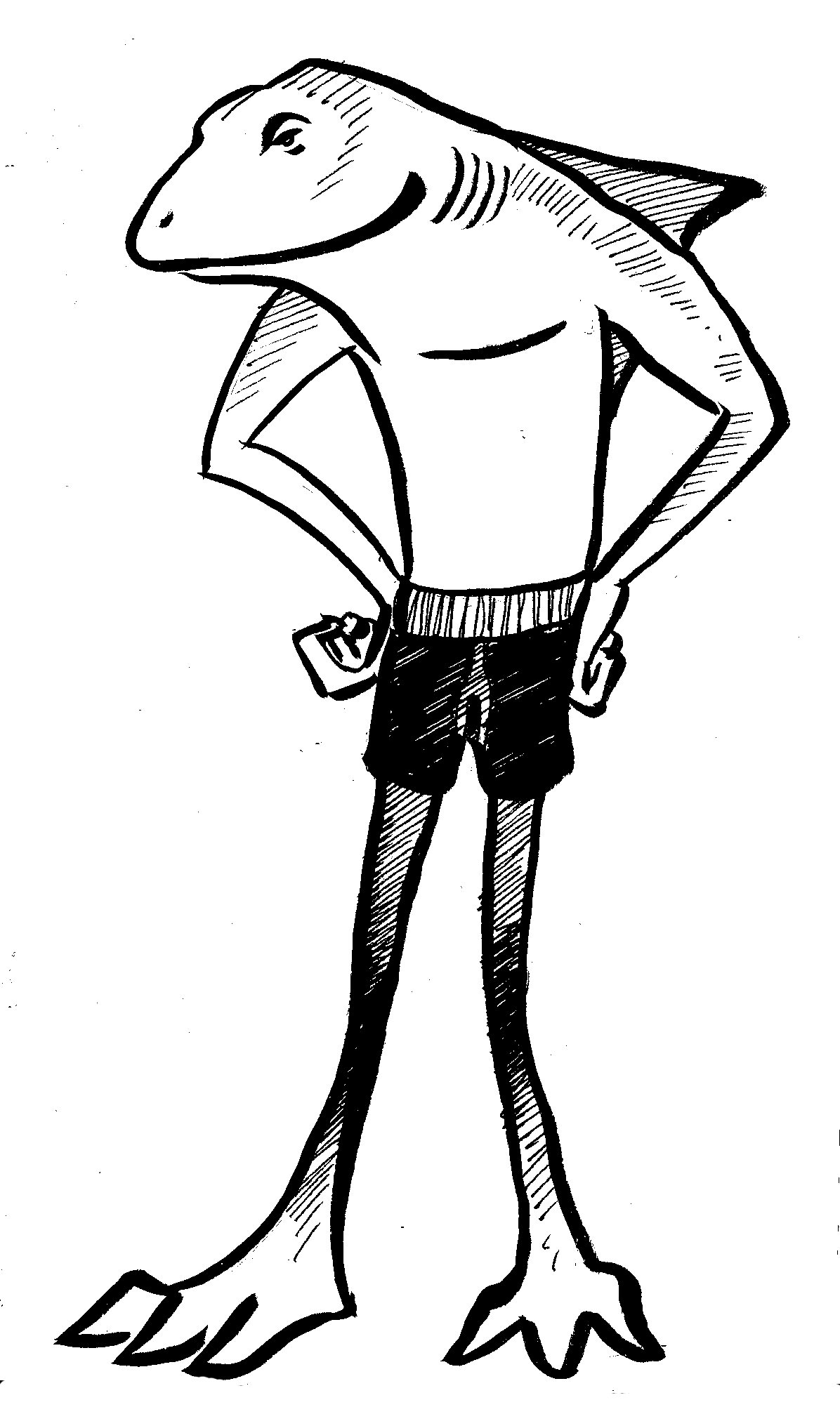 1196x2004 Best Of The Drawing Of The Day, Week A Shark In A Swimsuit