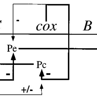 320x320 Schematic Drawing Of The Lytic Lysogeny Transcriptional Switch