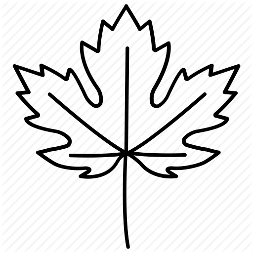 512x512 autumn, canada, fall, leaf, maple, sycamore, tree icon