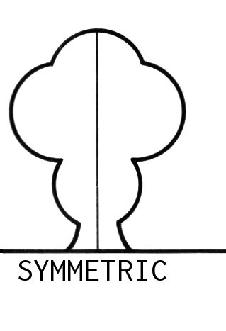 Symmetry Drawing | Free download on ClipArtMag