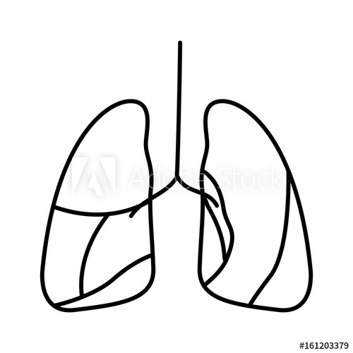 500x500 Hand Drawing Contour Respiratory System Vector Illustration