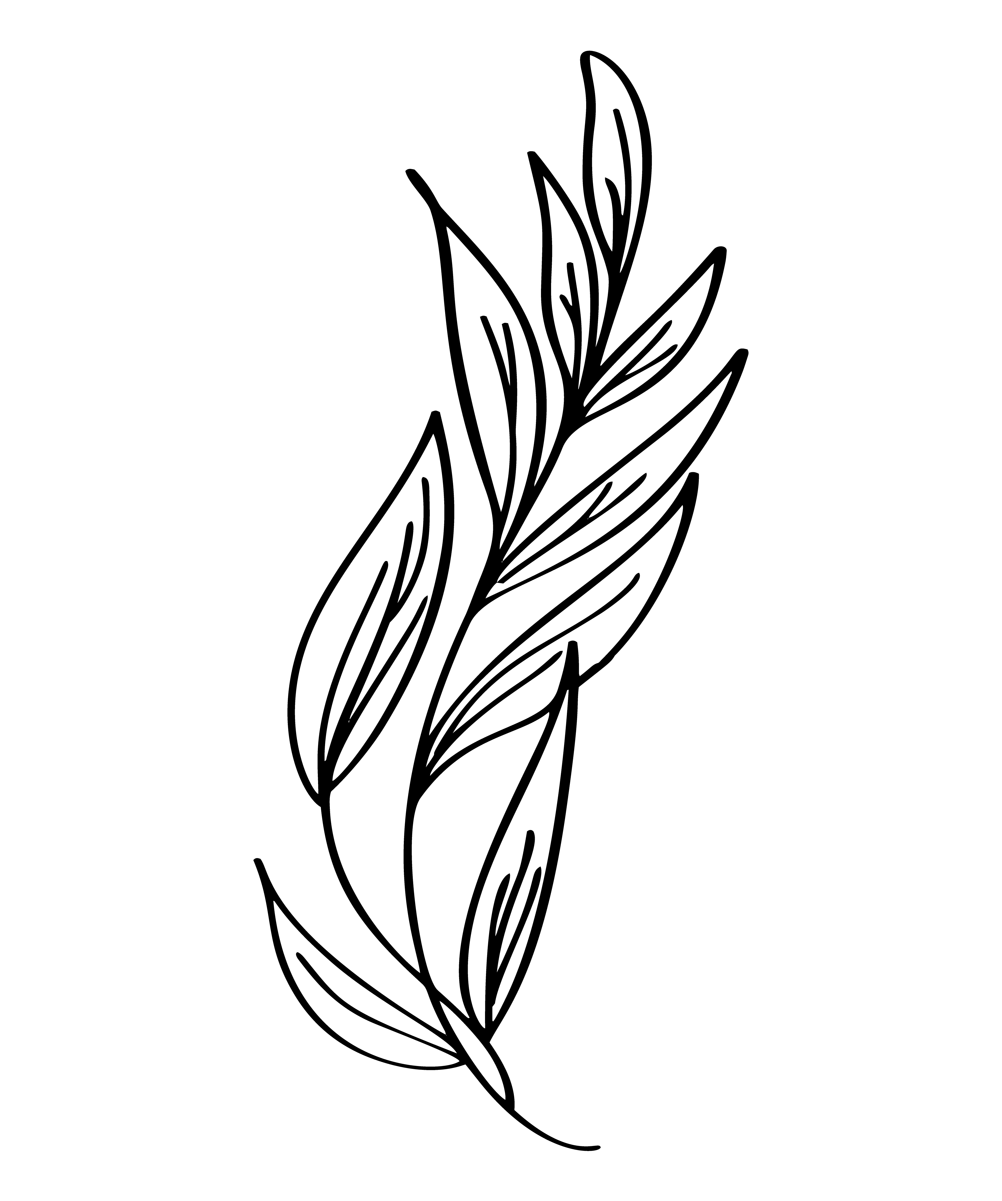 4171x5000 Hand Drawn Modern Flowers Drawing And Sketch Floral With Line Art