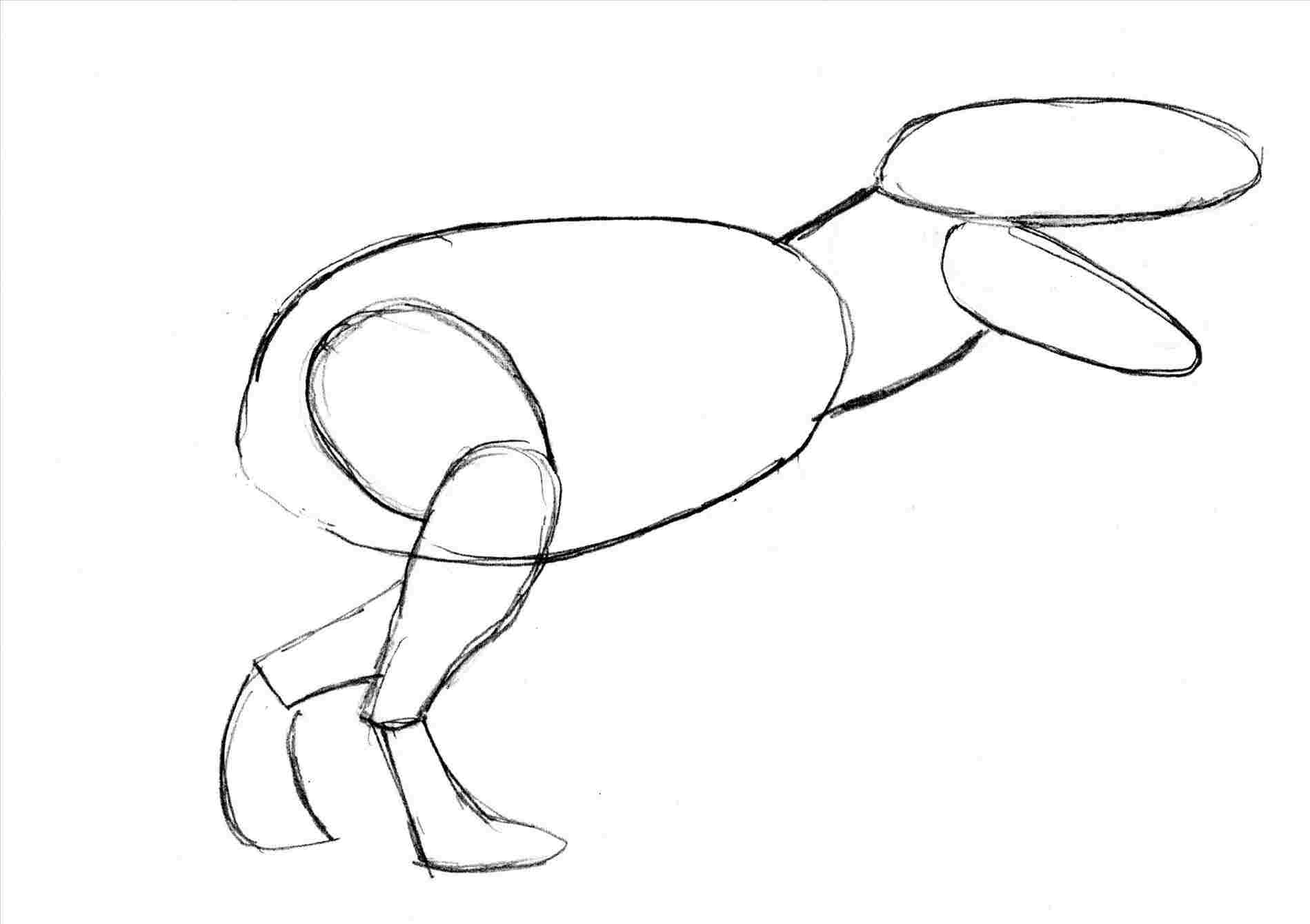 1899x1340 T Rex Cartoon Drawing