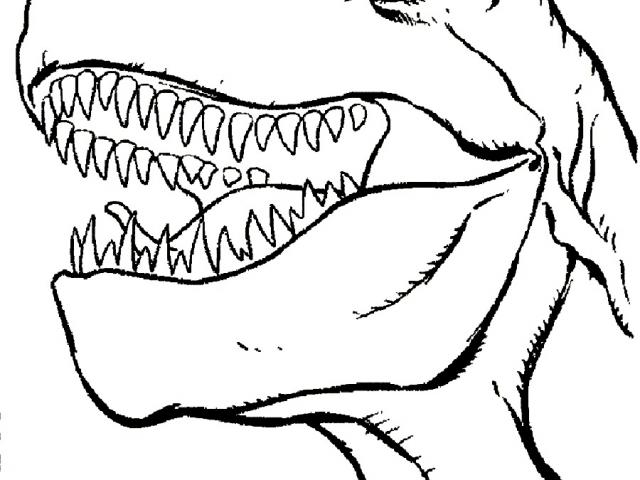 T Rex Dinosaur Drawing | Free download on ClipArtMag