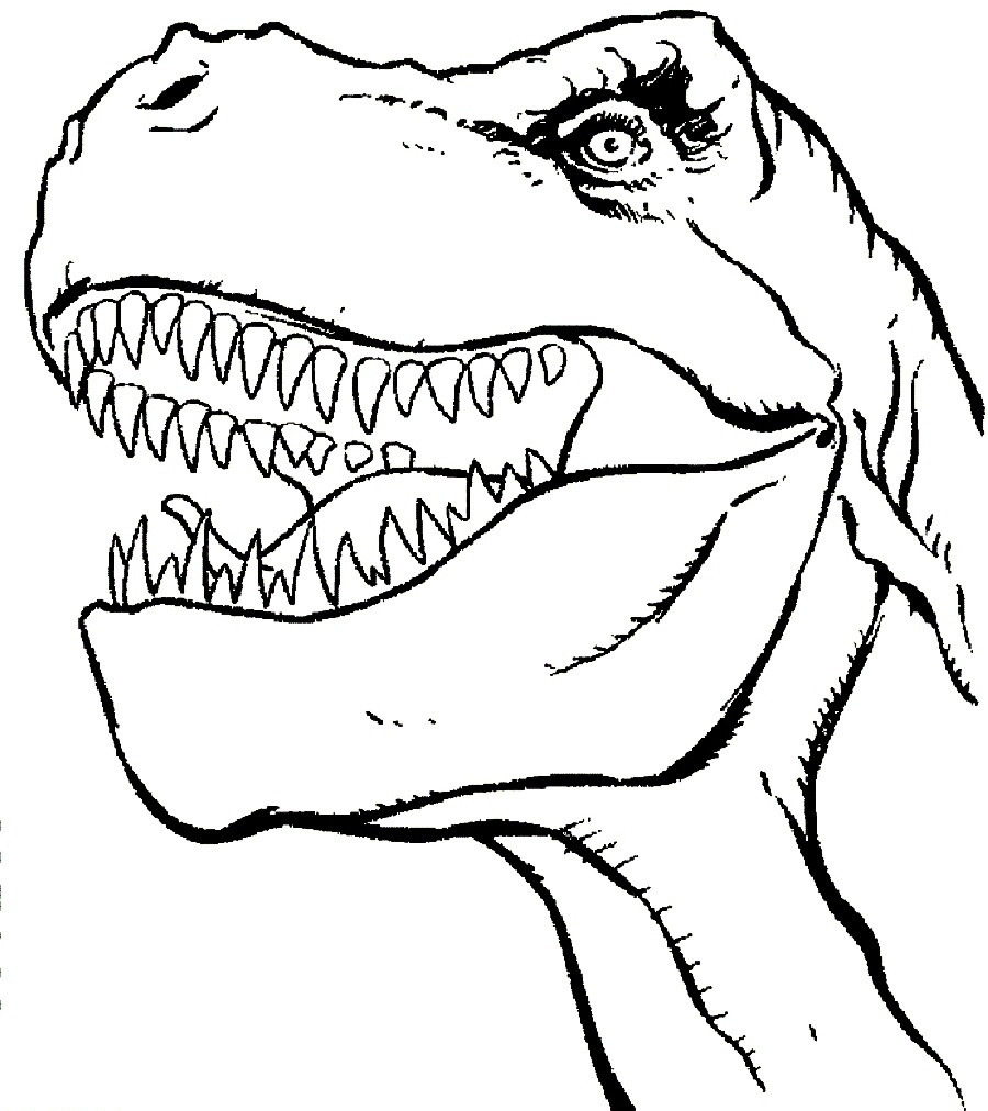 900x1012 How To Draw A Dinosaur T Rex Tyrannosaurus Rex Drawing