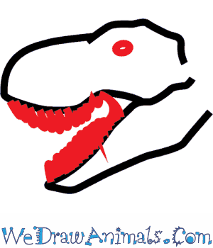 300x350 How To Draw A Tyrannosaurus Rex