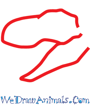 300x350 How To Draw A Tyrannosaurus Rex