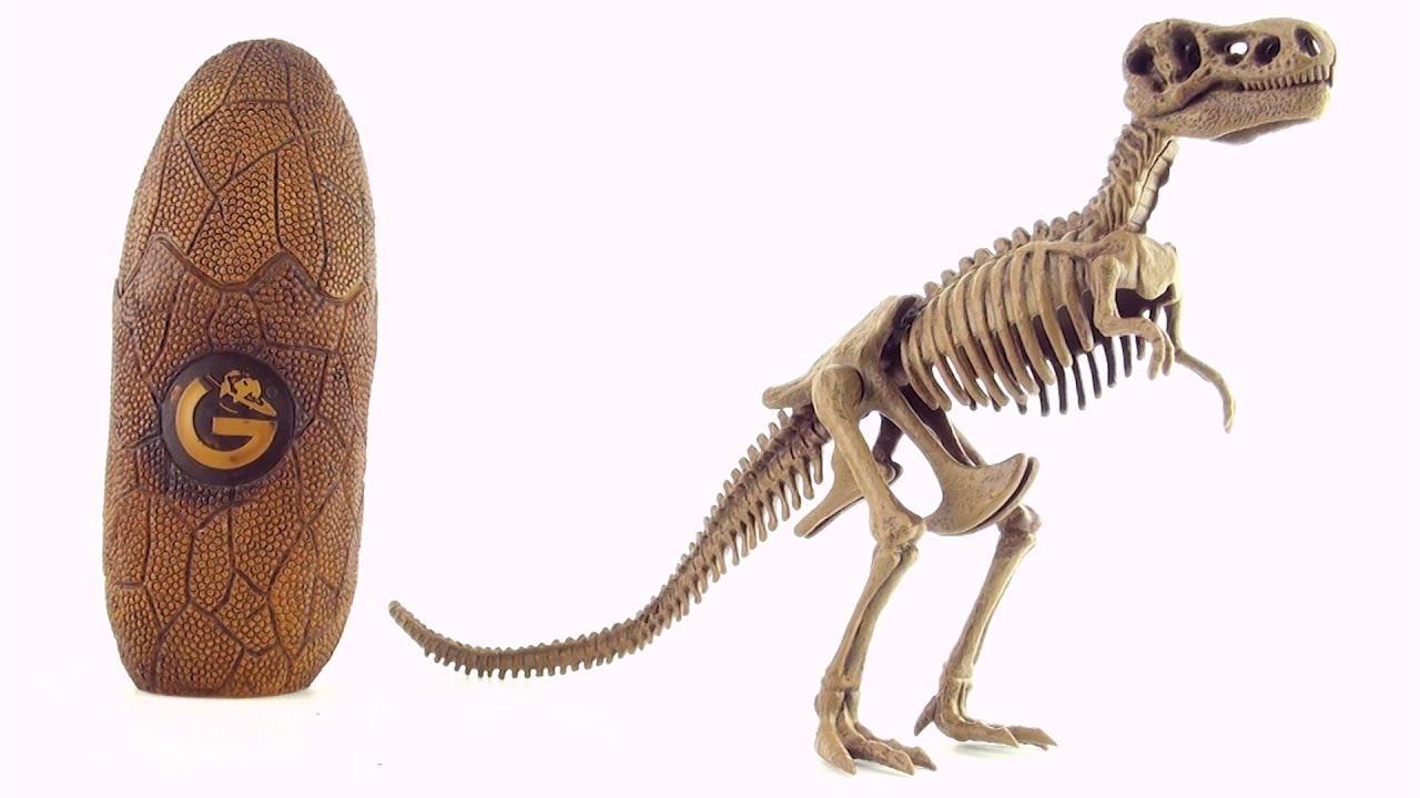 1280x720 Dinosaur Egg Surprise With Tyrannosaurus Rex Skeleton Inside