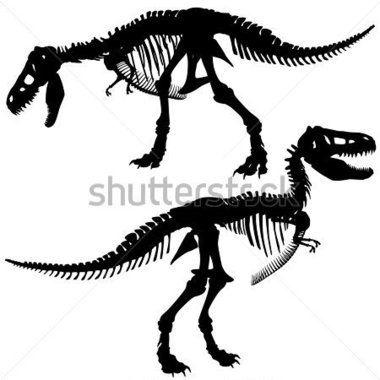 380x380 Editable Vector Silhouettes Of The Skeleton Of A Tyrannosaurus Rex