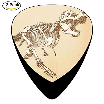 425x425 Jretro Guitar Picks Tyrannosaurus Rex Skeleton
