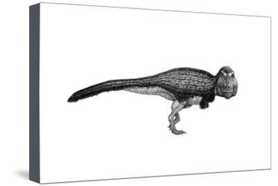 400x268 Black Ink Drawing Of Tyrannosaurus Rex Art Print
