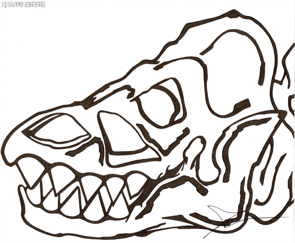 986x811 T Rex Skull