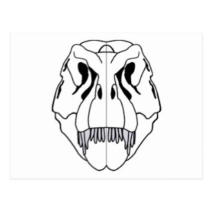 307x307 Tyrannosaurus Rex Skeleton Postcards Zazzle Au