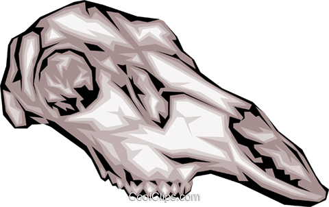 480x302 Vector Bone Trex Transparent Png Clipart Free Download