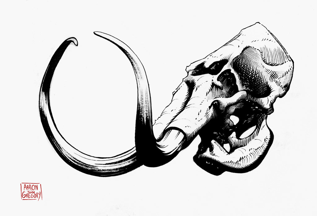 1024x697 Fossil Drawing Skull For Free Download