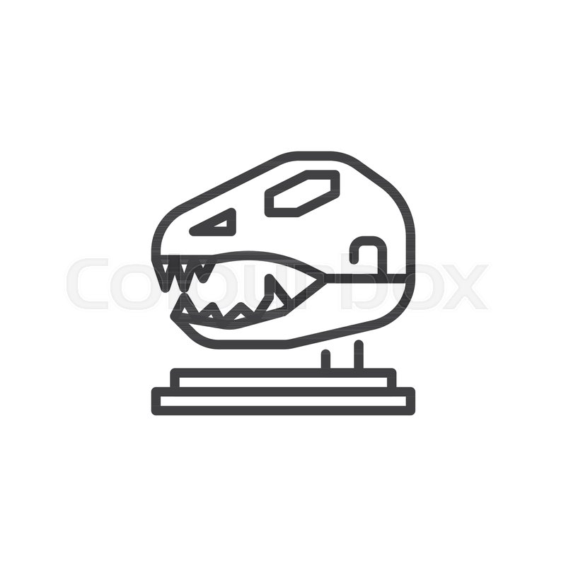 800x800 Dinosaur Skull In Paleontological Stock Vector Colourbox