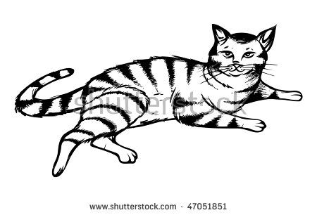 450x306 Image Result For Easy To Draw Tabby Cat Cartoon Things To Draw
