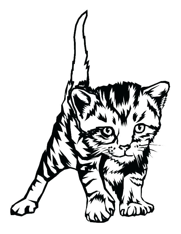 612x793 Tabby Cat Coloring Pages Drawing Free Striped Colouring Flextape