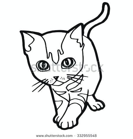 450x470 Tabby Cat Coloring Pages Tabby Cat Coloring Pages Little Sheets