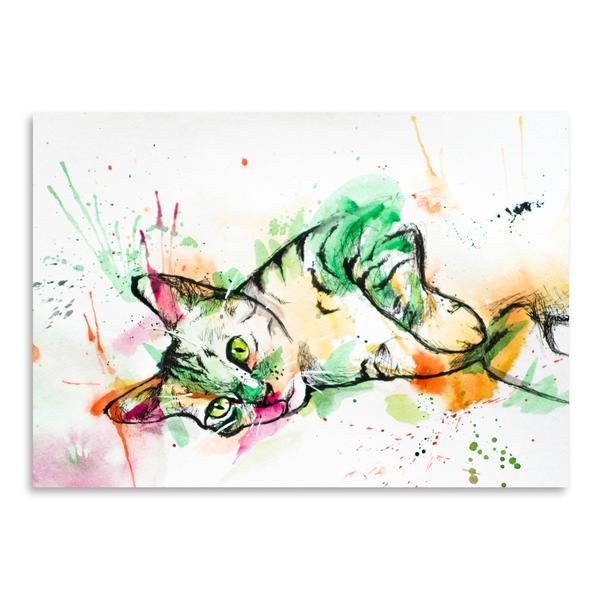 600x600 Tabby Cat