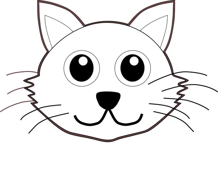 736x580 Collection Of 'kitty Face Drawing' Download More Than Images