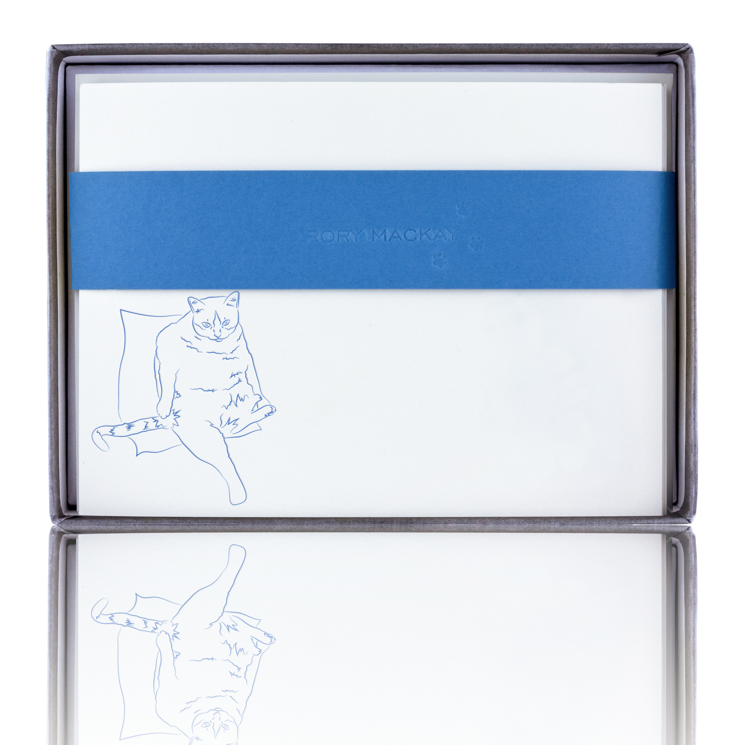 2560x2560 Tabby Cat Gift Box