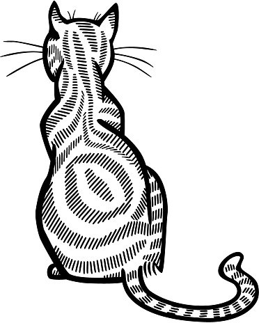 372x464 Back Of A Tabby Cat Sitting Premium Clipart