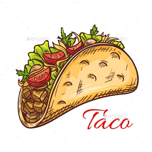 590x590 Mexican Beef Taco With Fresh Vegetables Sketch Of Crispy Corn
