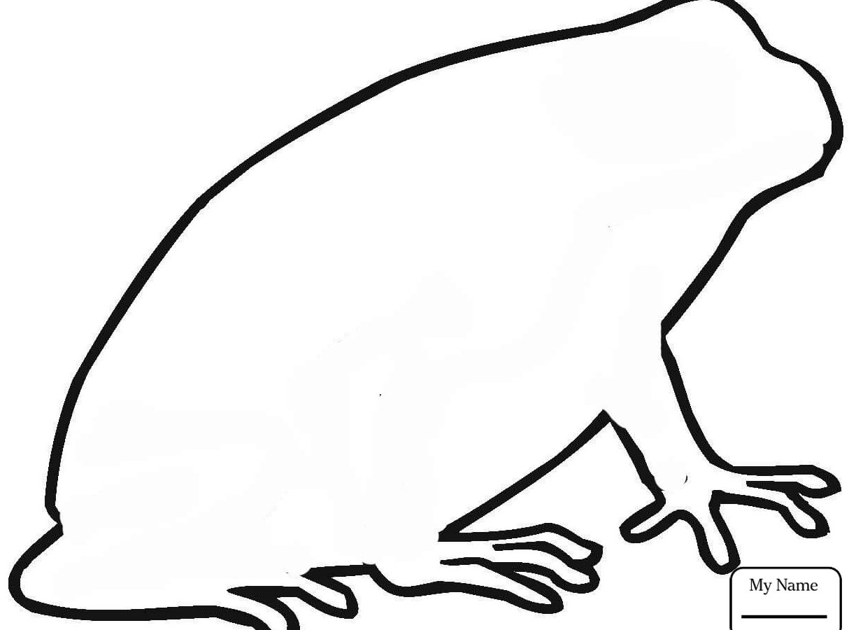 1224x900 Tadpole Clipart Leg