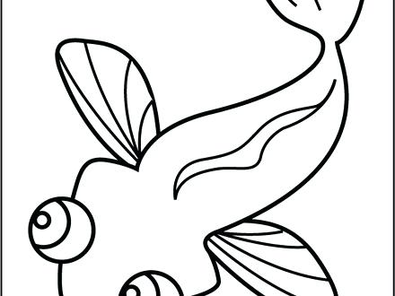 440x330 Tadpole Coloring