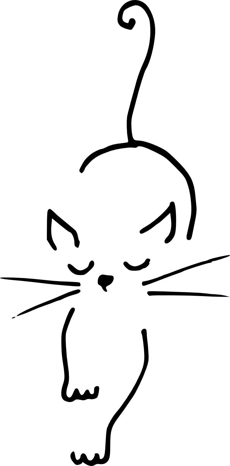 741x1500 Tadpole Drawing Transparent For Free Download