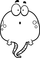 164x235 antique illustration of frog, eggs and tadpoles stock vector