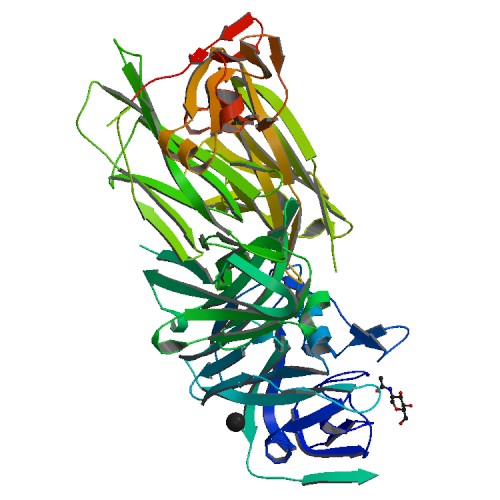 500x500 Rcsb Pdb