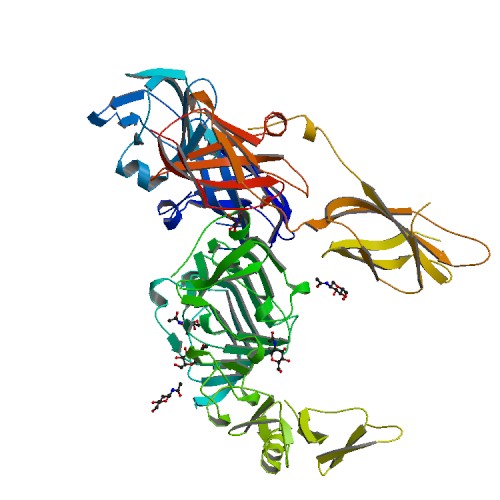 500x500 Rcsb Pdb