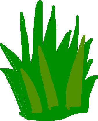 337x413 Destroy Caterpie Tynker