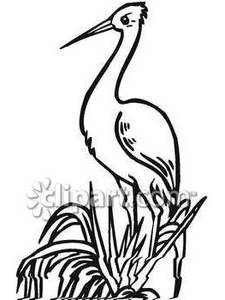 225x300 Black And White Crane In Tall Grass