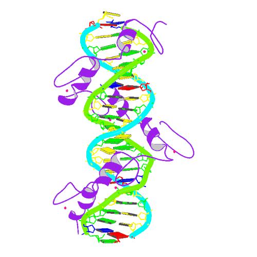500x500 Rcsb Pdb
