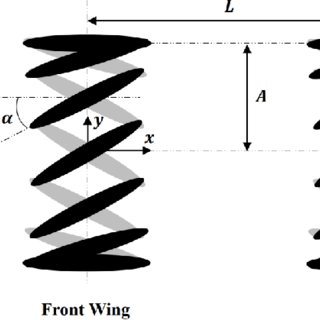 320x320 Schematic Drawing Showing The Present Tandem Wing Problem Black