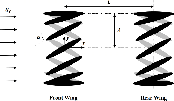 720x419 Schematic Drawing Showing The Present Tandem Wing Problem Black