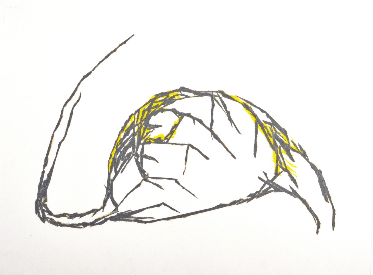 1303x959 Roya Farassat Works On Paper Tape Drawings