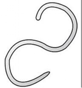 350x373 Hope Animal Hospital